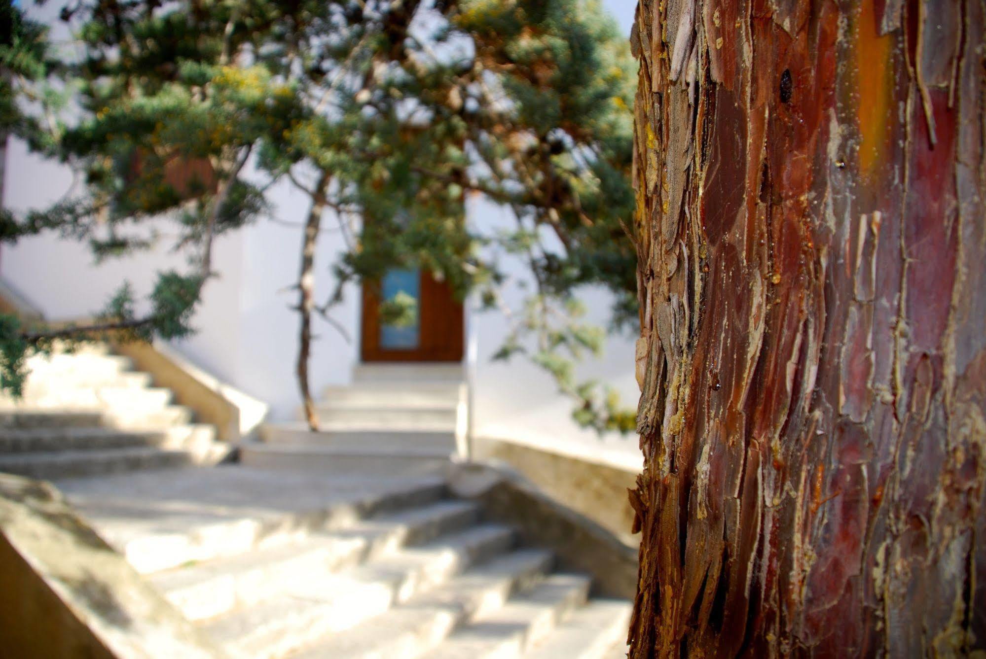 Apartamento Rural Castillo De Yeste 2 Pax (Adults Only) 외부 사진